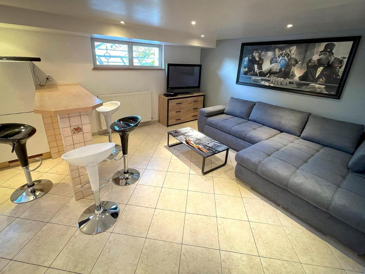 Villa 250M2 Avec Piscine Chauffee & Spa & Kota-Grill & Sauna Saint-Die-des-Vosges Exteriér fotografie